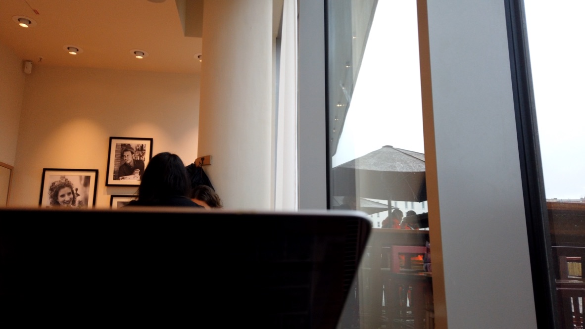 Person Working on Laptop Near Window in Cafe