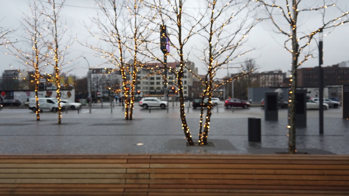Festive Trees in Urban Plaza