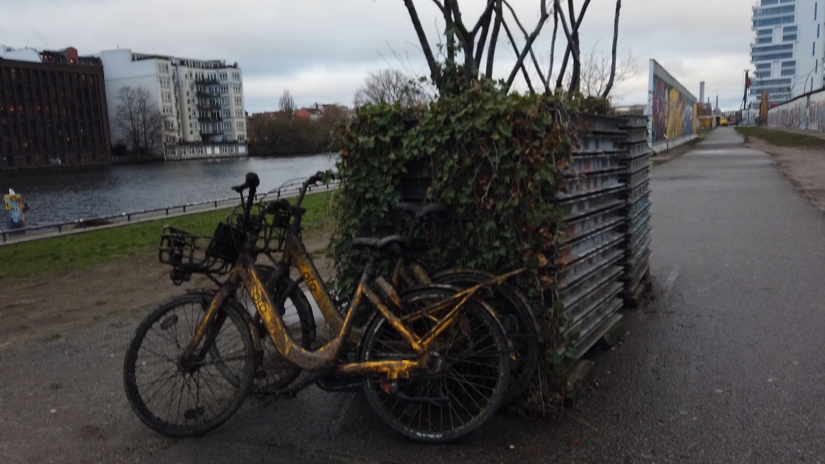 Muddy Yellow Bicycles Leaning Against a Vines-Covered Barrier Near Riverbank