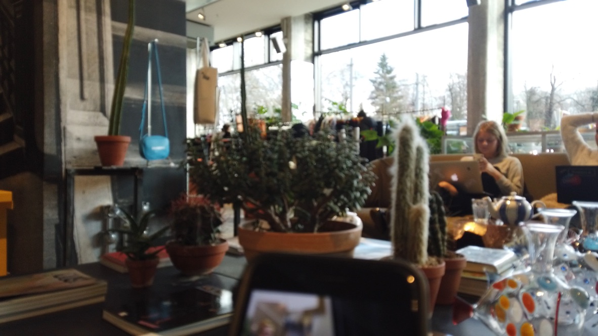Cozy Indoor Cafe with Plants and Patrons