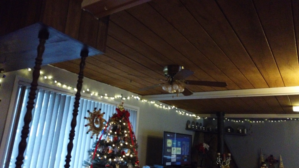 Christmas Tree in Living Room with String Lights and Ceiling Fan