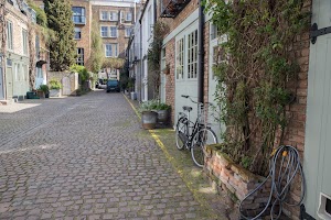 IMG_3427.jpg