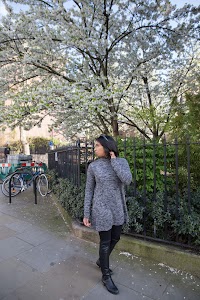 IMG_5729.jpg