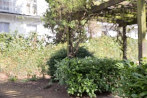 IMG_5797.jpg