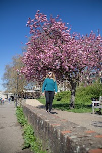 IMG_7881.jpg