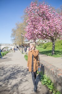 IMG_8222.jpg