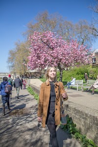 IMG_8226.jpg
