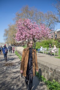 IMG_8227.jpg