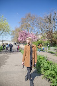 IMG_8238.jpg