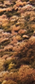 Screen Shot 2019-04-21 at 10.48.55 AM.png