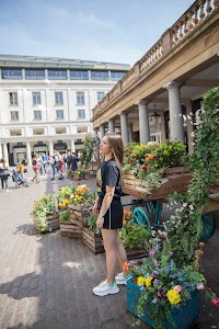 IMG_9636.jpg