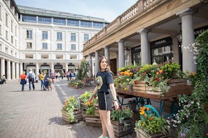 IMG_9649.jpg