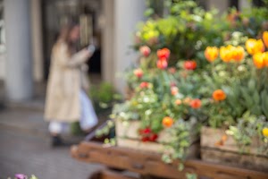 IMG_9910.jpg