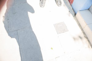 IMG_5312.jpg