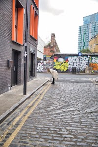 IMG_6969.jpg