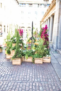 IMG_7504.jpeg