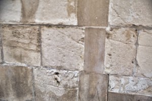 IMG_7797.jpeg