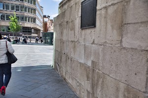 IMG_7798.jpeg