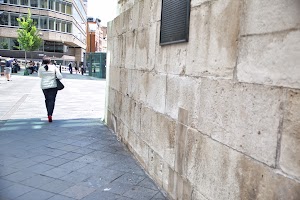 IMG_7799.jpeg
