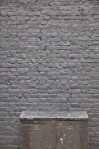 IMG_8213.jpeg