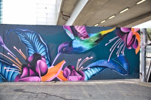IMG_8266.jpeg