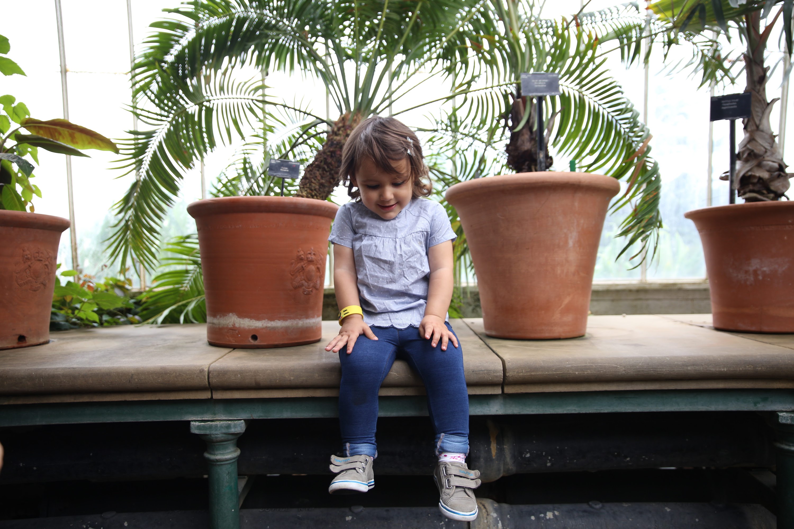 Young Girl Sitting on Bench in Greenhouse