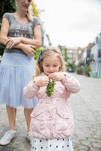 IMG_7668.jpg