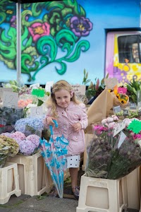 IMG_8070.jpg