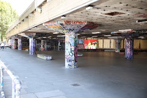 IMG_3915.CR2
