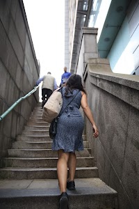 IMG_4236.CR2