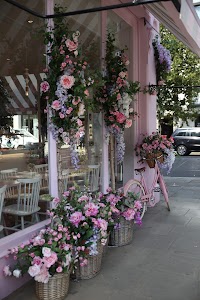 IMG_6131.CR2