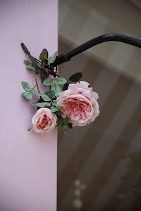 IMG_6136.CR2