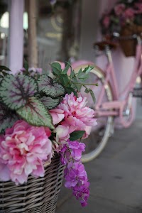 IMG_6139.CR2