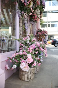 IMG_6147.CR2