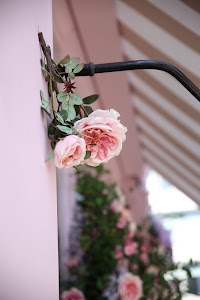 IMG_6149.CR2