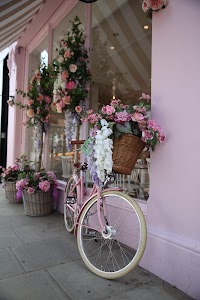 IMG_6151.CR2