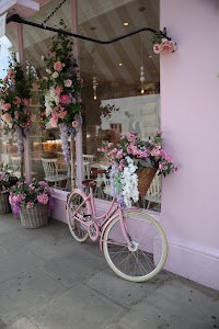 IMG_6154.CR2