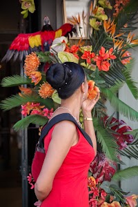 IMG_8342.jpg