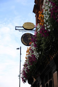 IMG_8633.CR2