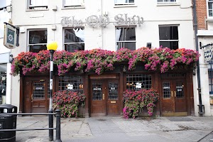 IMG_8877.CR2