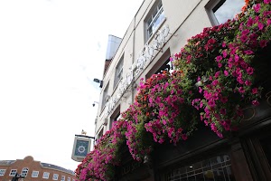 IMG_8880.JPG
