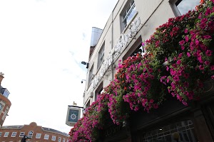 IMG_8882.JPG