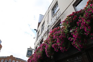 IMG_8884.JPG