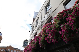 IMG_8887.JPG