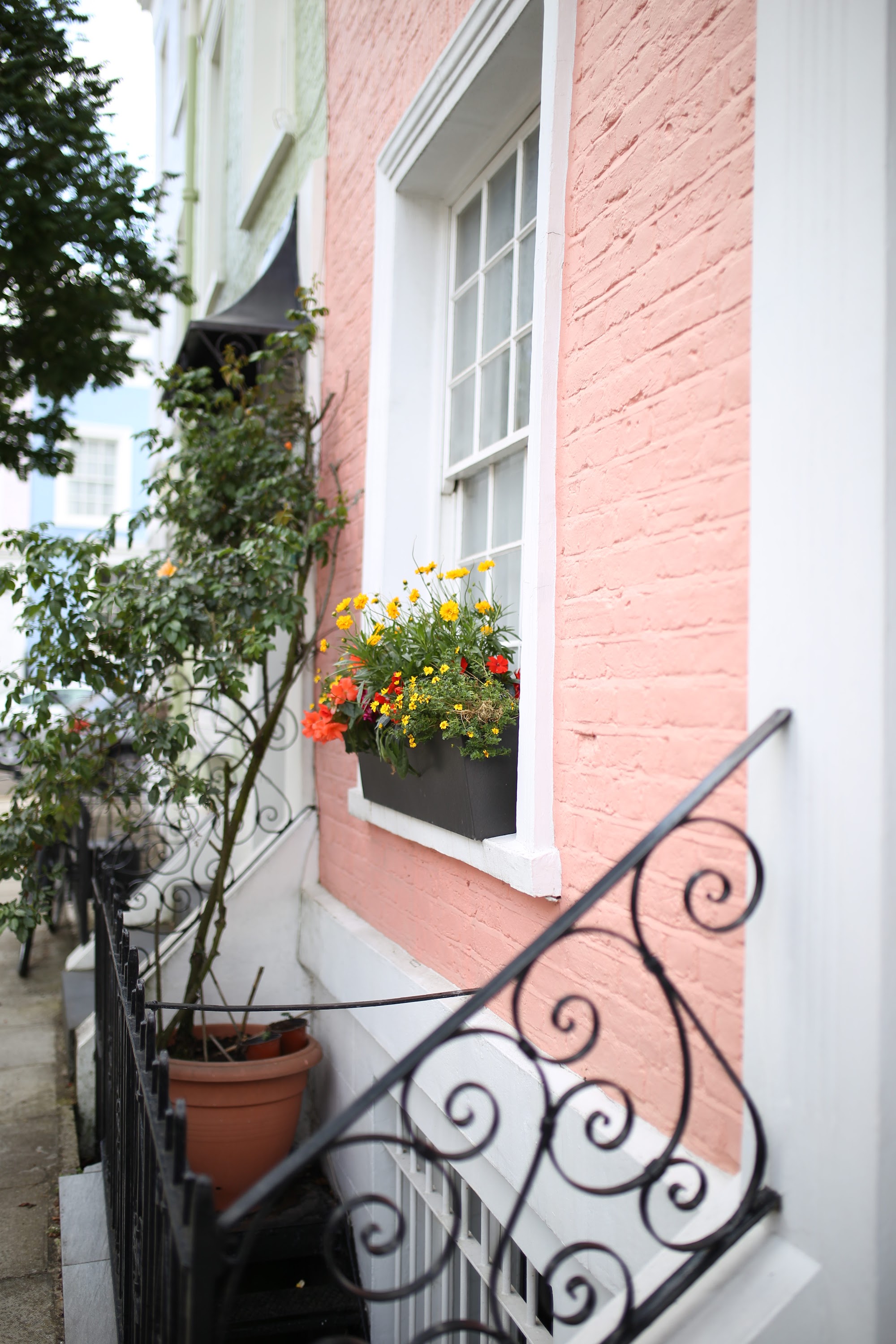 Pink Brick House with Flower Box and Ornate Iron Rail