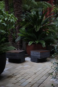 Modern Outdoor Garden Seating with Tropical Plants