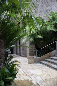 Brick Courtyard with Tropical Plants and Stone Steps