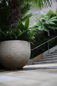 Large Concrete Planter with Tropical Plants Near Staircase