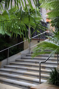 Staircase with Tropical Plants and Modern Railings