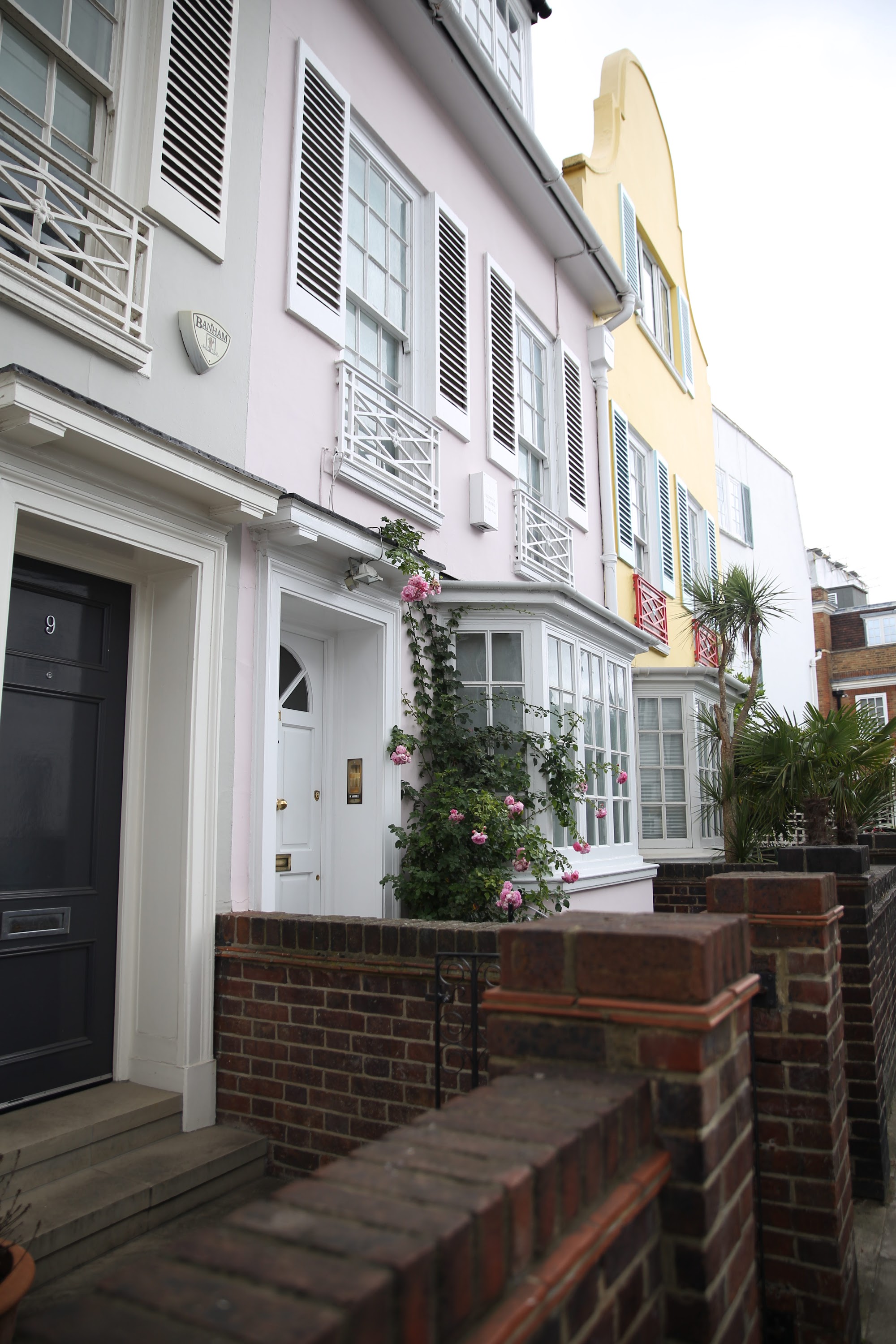 Colorful Row Houses with Rose Vine and Brick Wall